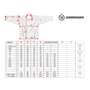 WARRIOR Goalie Practice Jersey S26